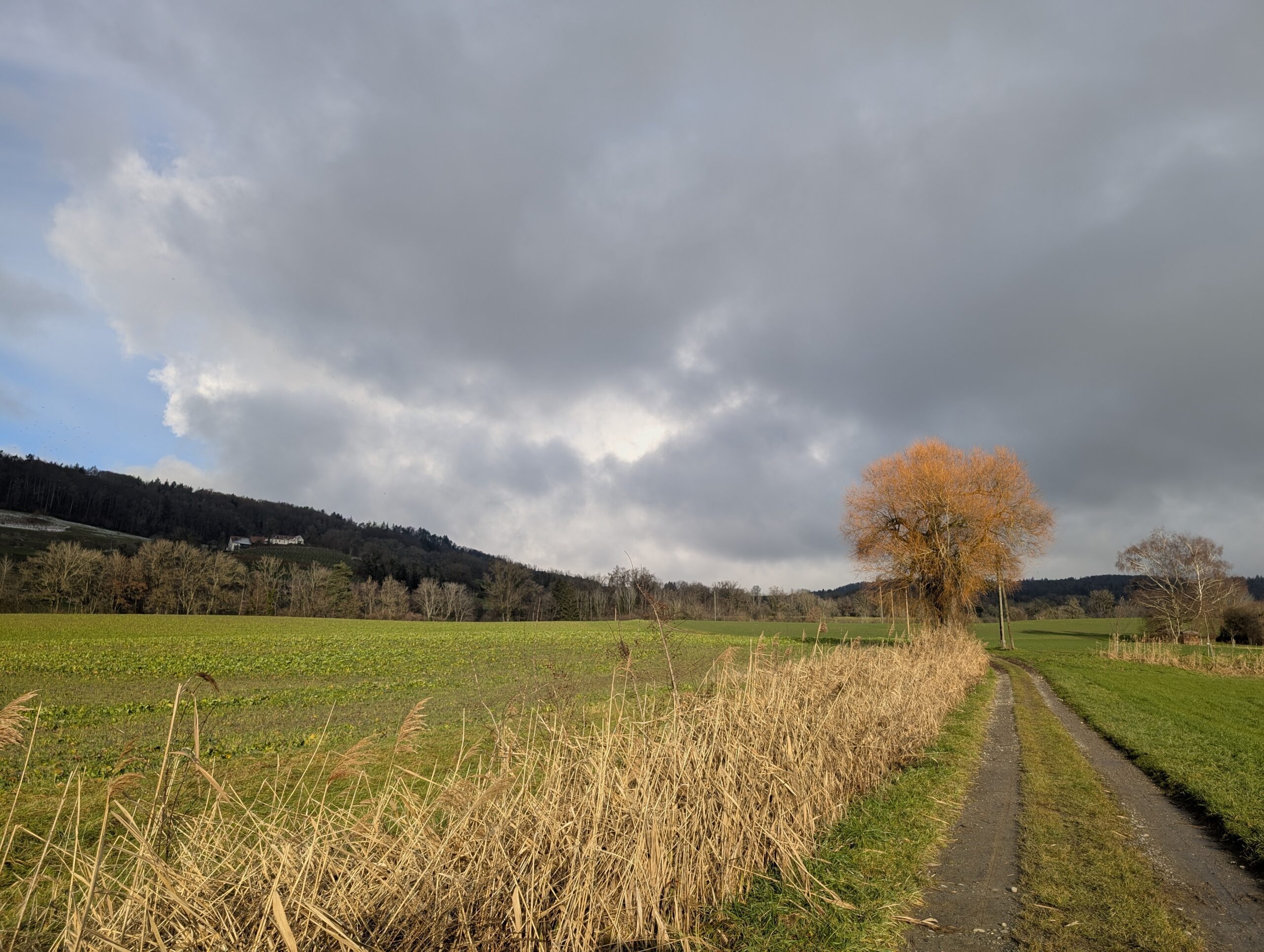 Frühlingsgefühle, äh, -termine