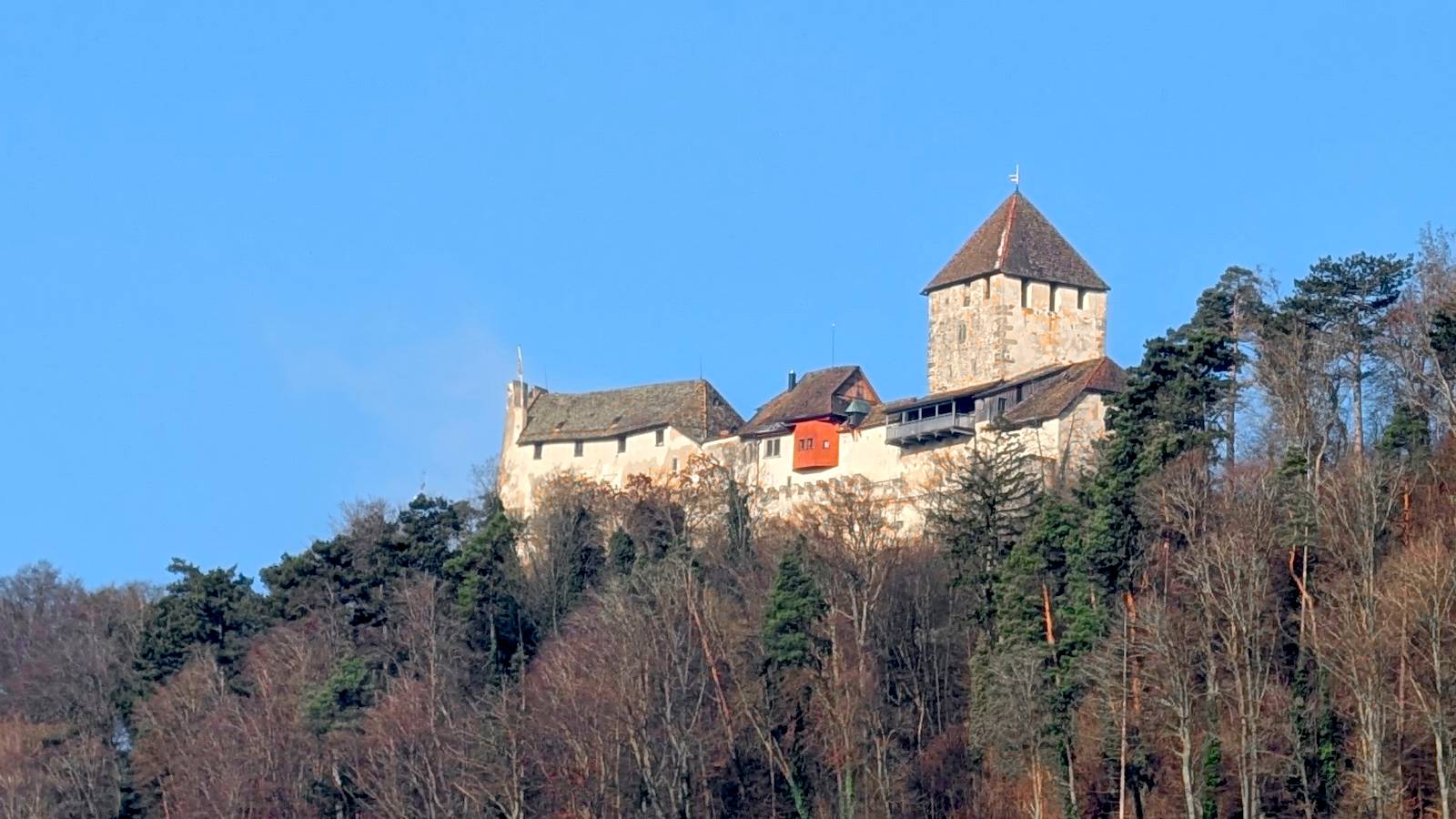 Burg Hohenklingen zwischen Wald und blauem Himmel